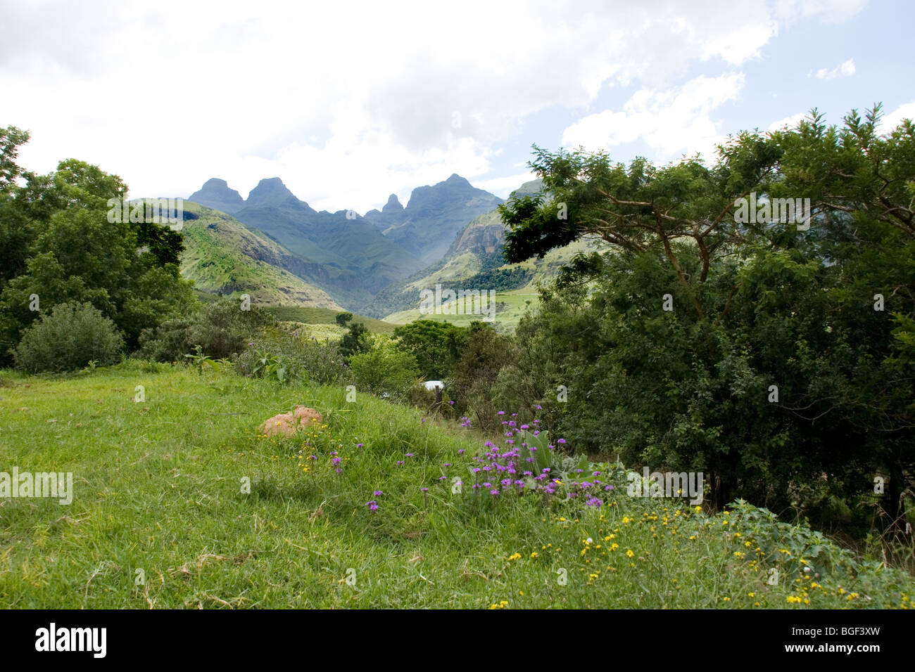 UKahlamba Drakensberg mountain Cattedrale di picco Foto Stock