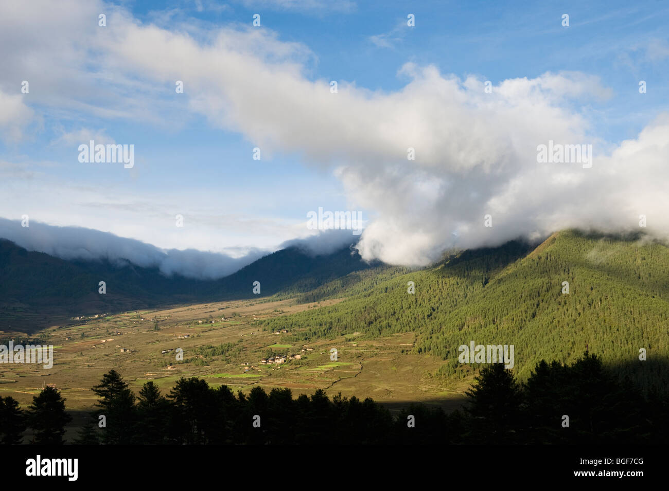 Phobjika Valley, ca. 10.000 piedi, BHUTAN : Area protetta per gru Black-Necked Foto Stock