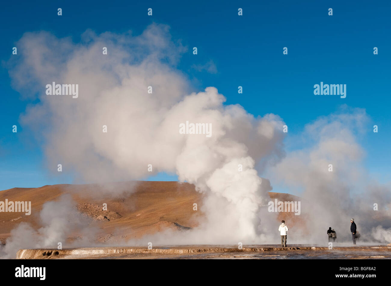 El Taito geyser vicino a San Pedro de Atacama, Cile Foto Stock