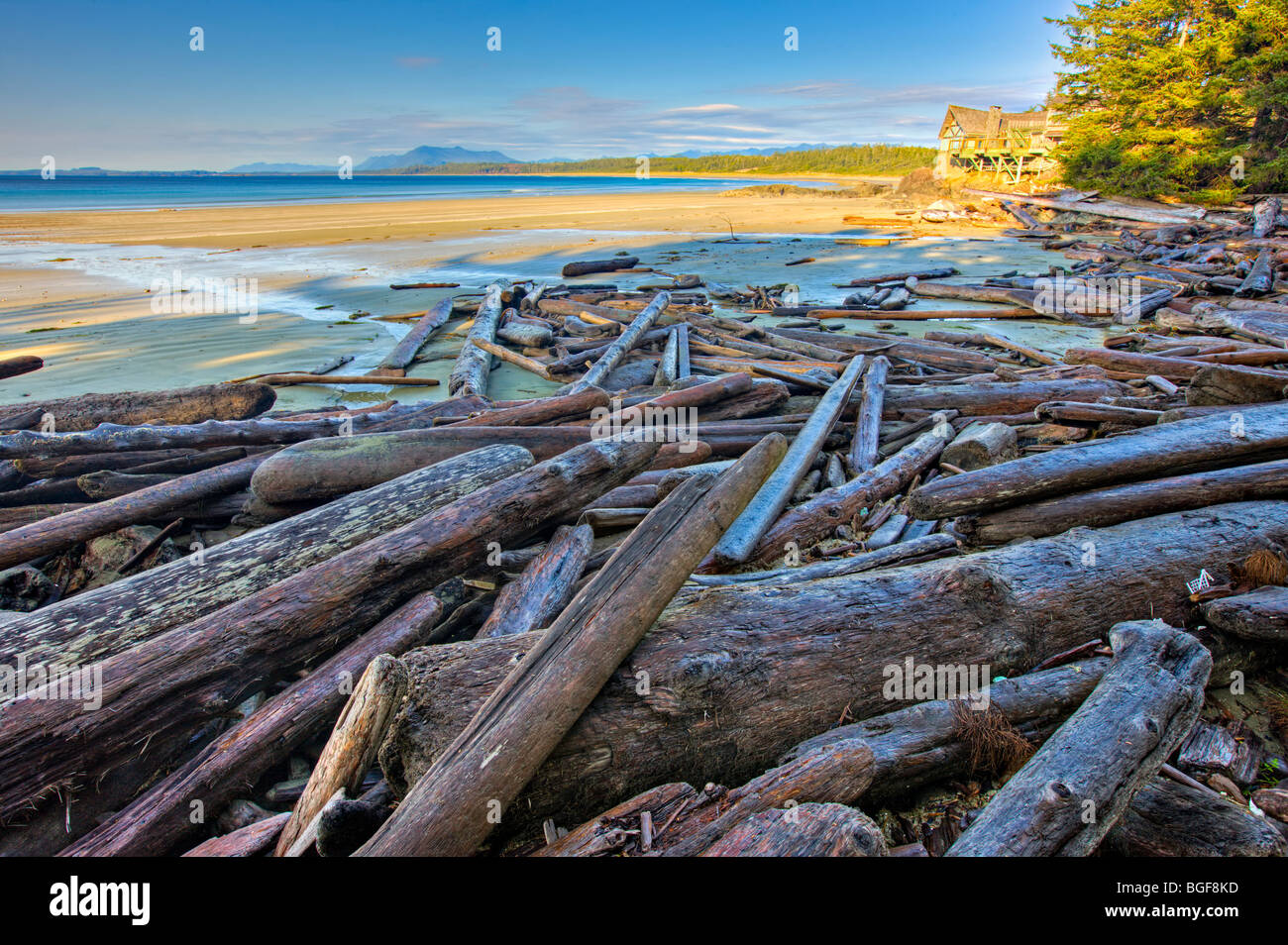 Wickaninnish Interpretive Center e driftwood disseminate lungo Wickaninnish Beach, Wickaninnish Bay, Pacific Rim National Park, Lon Foto Stock