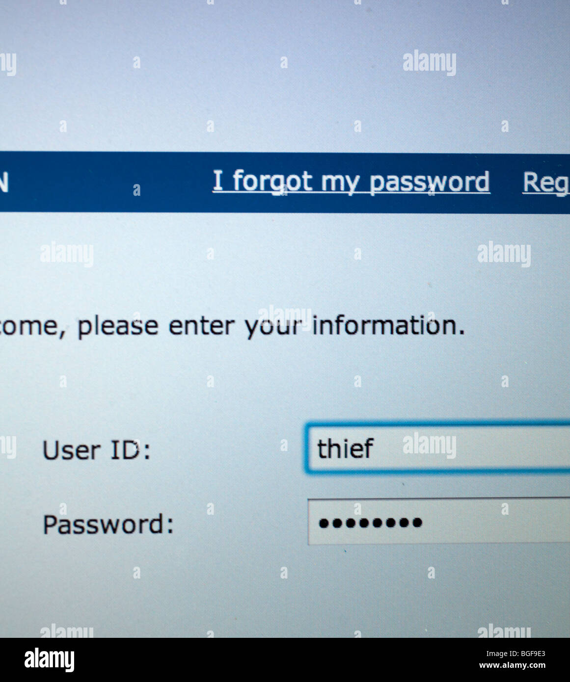 Sullo schermo del computer che mostra la pagina di accesso con ID utente del ladro Foto Stock