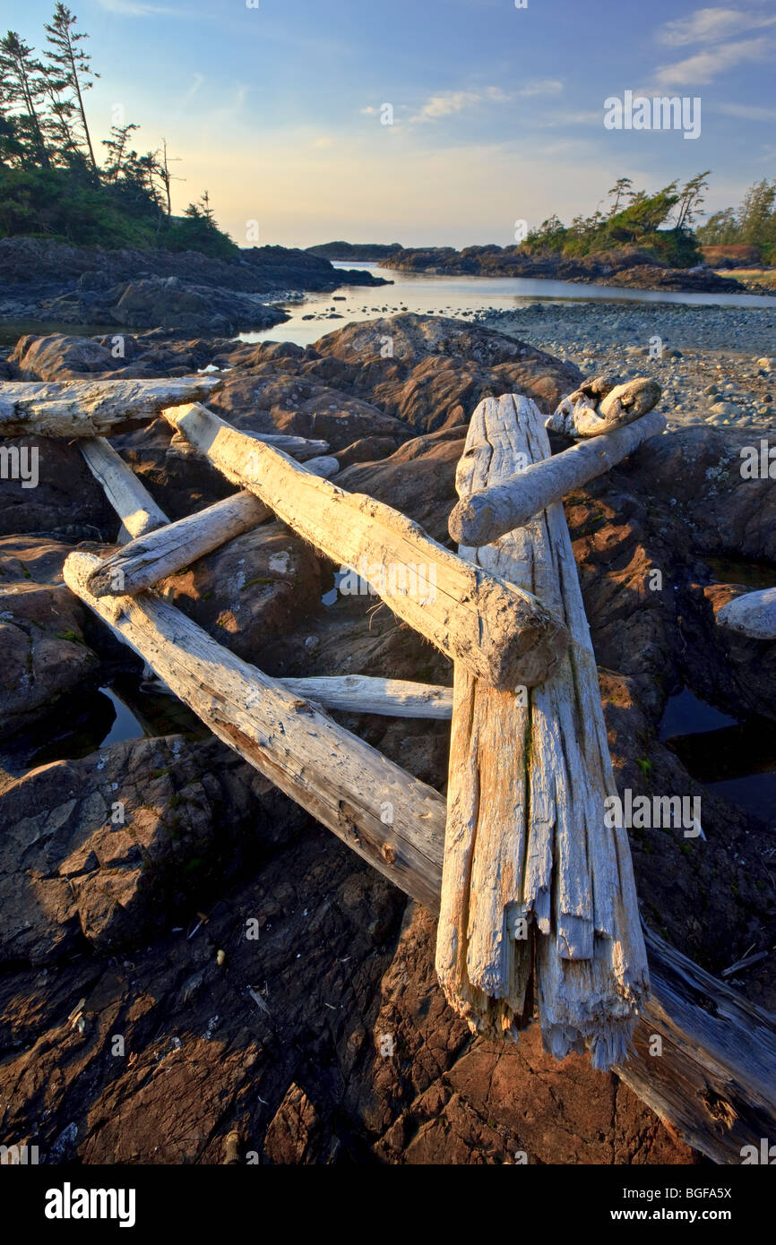 Driftwood sparsa su un promontorio roccioso lungo South Beach, Pacific Rim National Park, Long Beach, unità di Clayoquot Sound UNESCO Bios Foto Stock