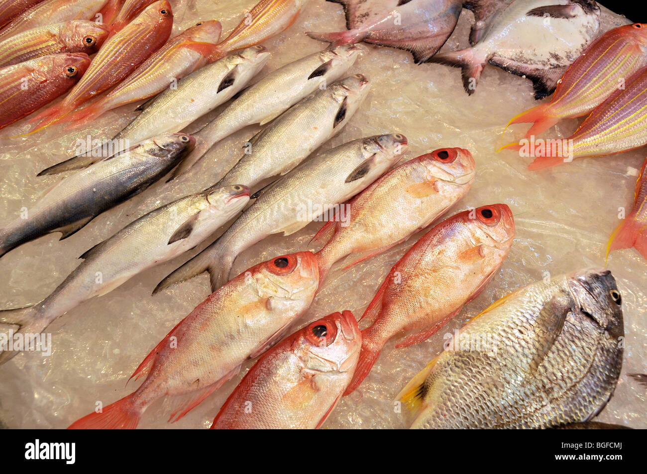 Pesce fresco al punto nord mercato, isola di Hong Kong, Cina Foto Stock
