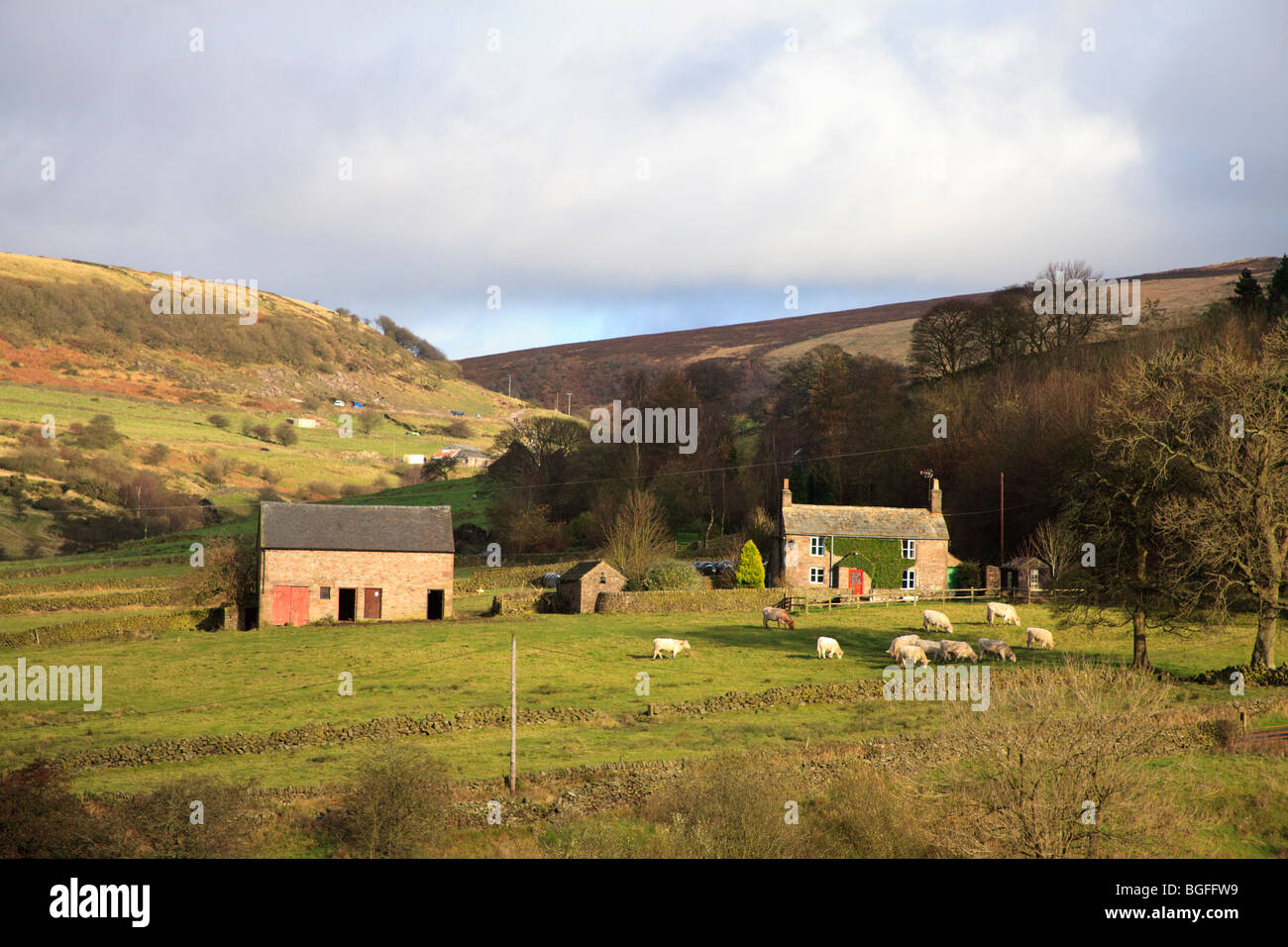 Edifici agricoli nel vicino Gradbach affacciato sul villaggio di Flash nel Derbyshire. Foto Stock