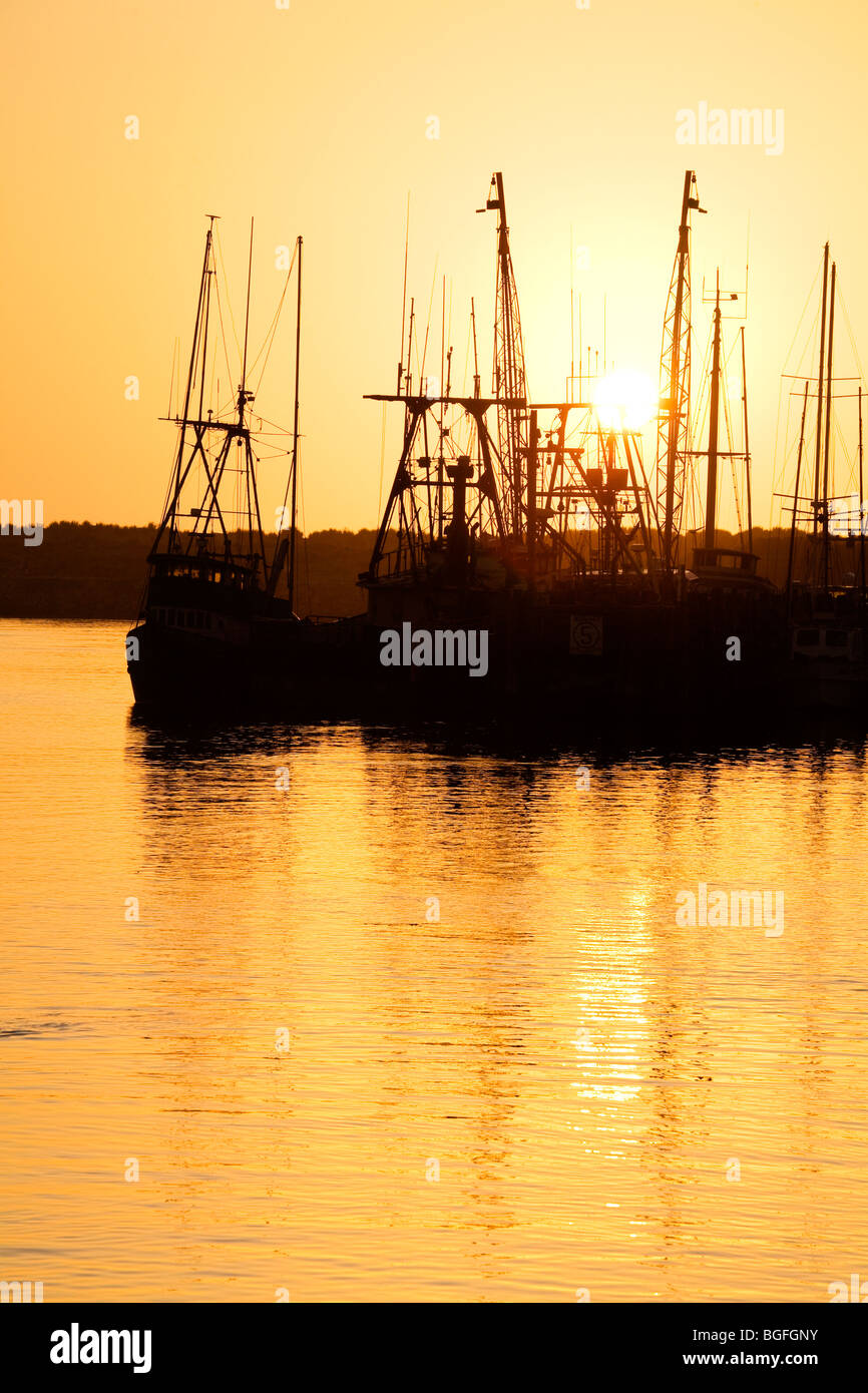 Barche da pesca,città di Morro Bay,San Luis Obispo County, California , Stati Uniti Foto Stock