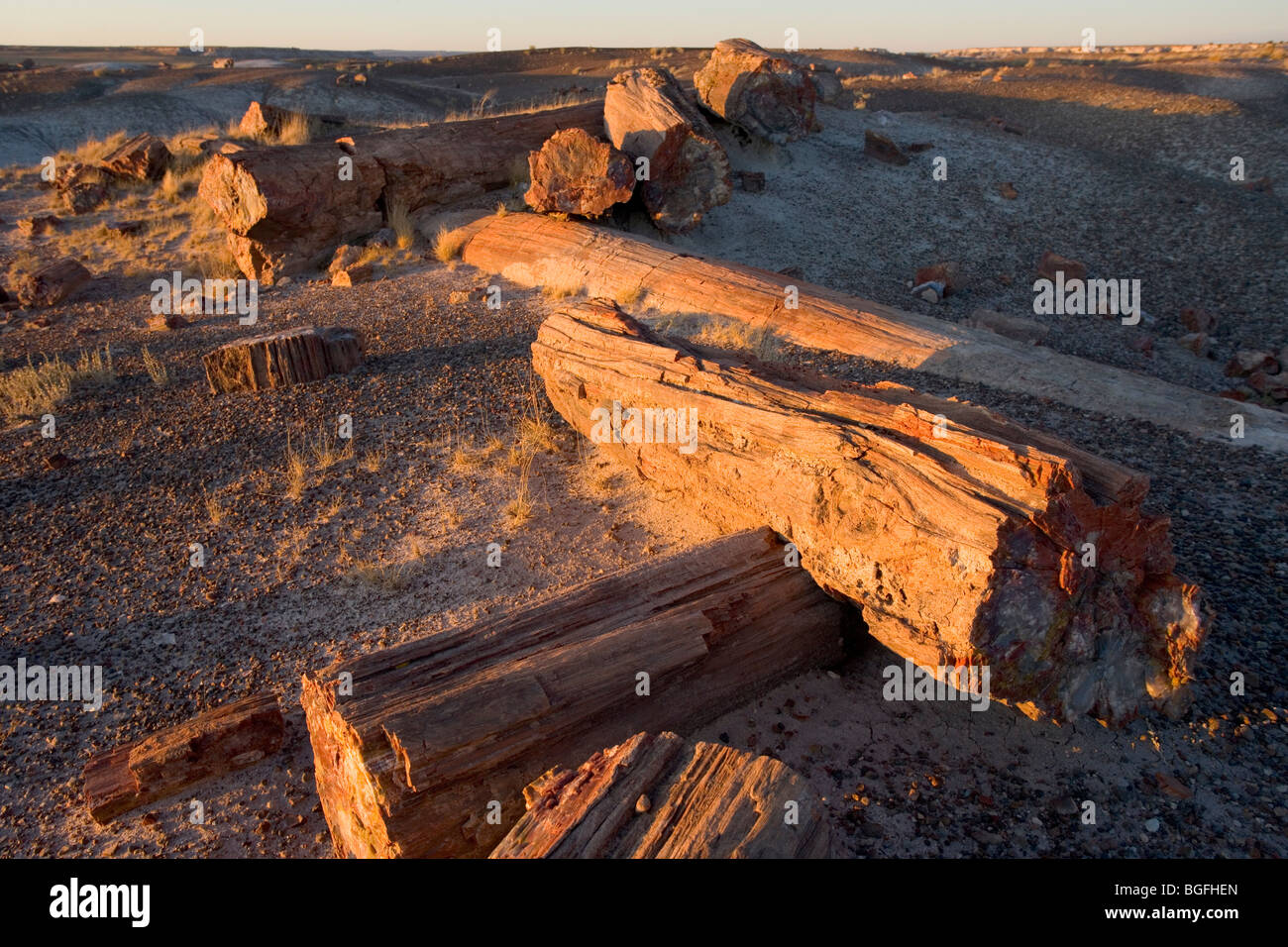Tutto rotto e registri pietrificato al Parco Nazionale della Foresta Pietrificata in Arizona, Stati Uniti. Foto Stock