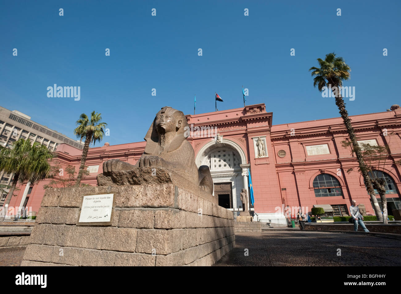 Museo Egizio del Cairo in Egitto, Africa. Foto Stock
