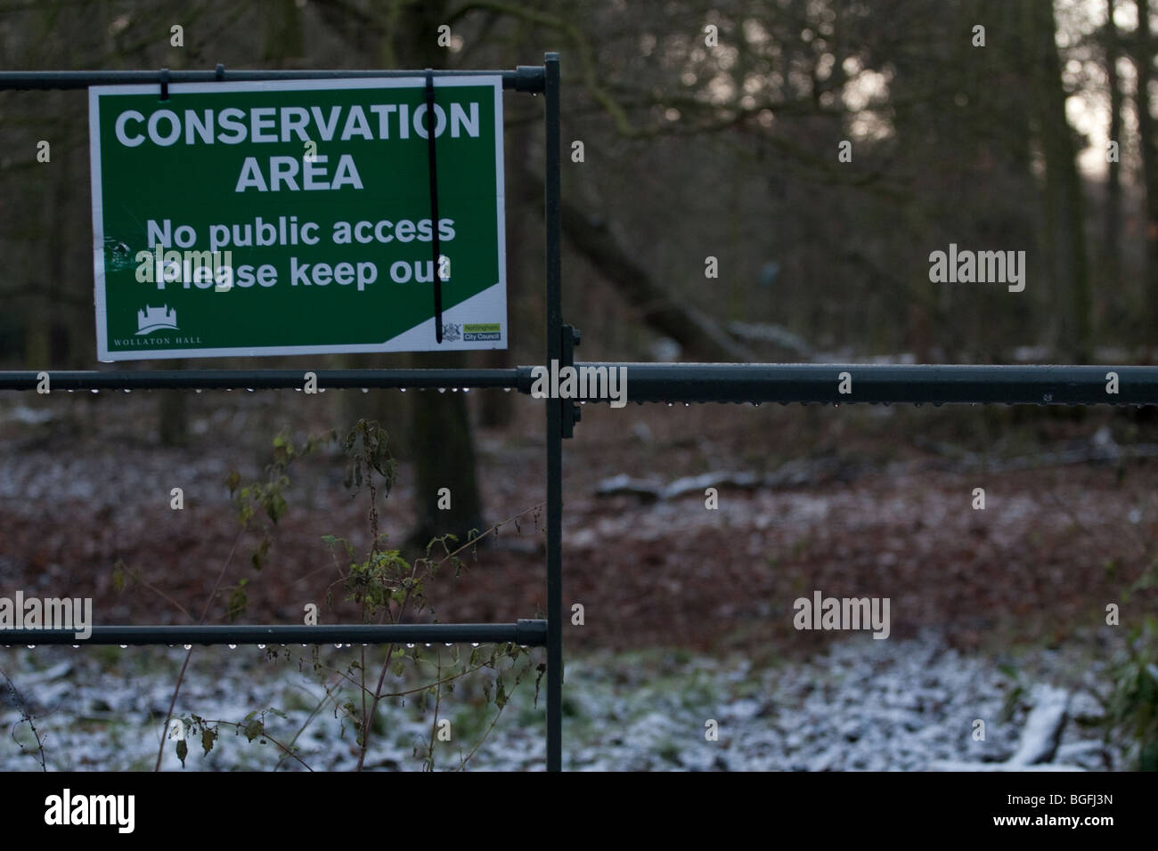 Una zona di conservazione in Wollaton Park, Nottingham England Regno Unito Foto Stock