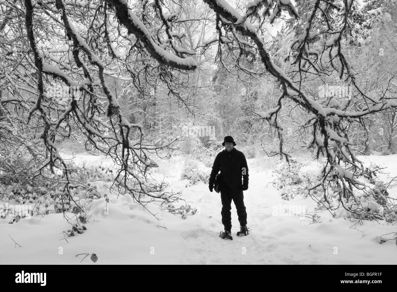 Escursioni con le racchette da neve in inverno vicino a Portland Oregon Foto Stock