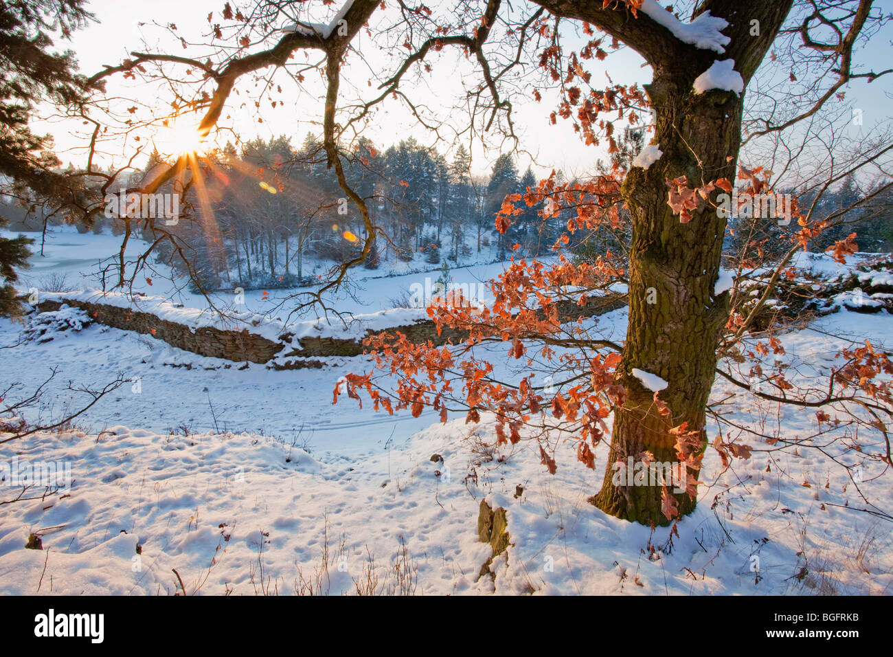 Paesaggio invernale, il tramonto del canyon Foto Stock