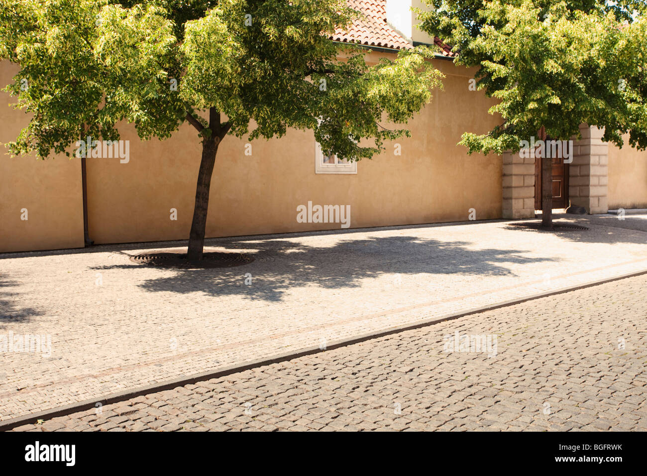 Tranquilla scena di strada a Praga caratterizzata da un lussureggiante albero verde contro un muro color sabbia, che getta ombre intricate sul marciapiede acciottolato. Foto Stock