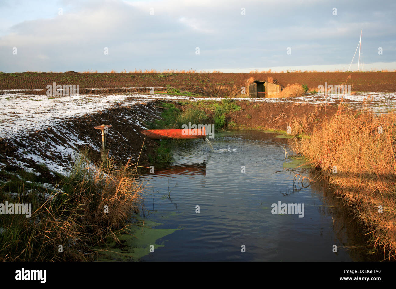 Terra di rimedio lavori di drenaggio da Upton Dyke, vicino Acle, Norfolk, Regno Unito. Foto Stock