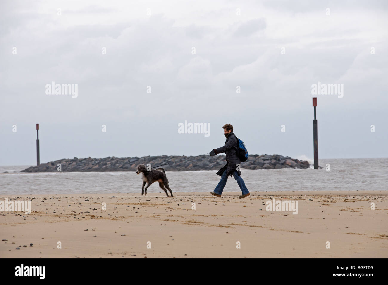 Donna che cammina il suo cane vicino alle scogliere artificiali (rock armor pennelli) integrato per protezione contro erosione costiera Foto Stock