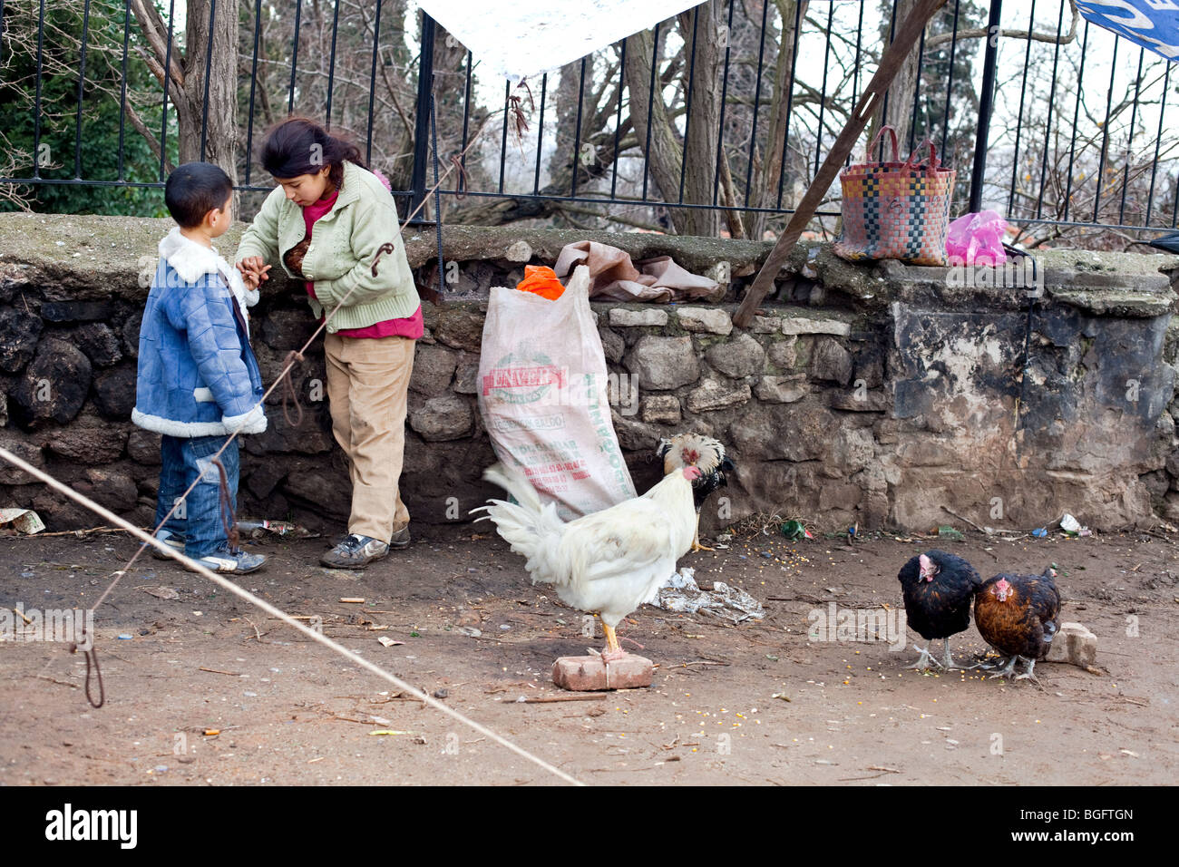 Bambini zingari nella zona di Sulukule, Istanbul, Turchia Foto Stock