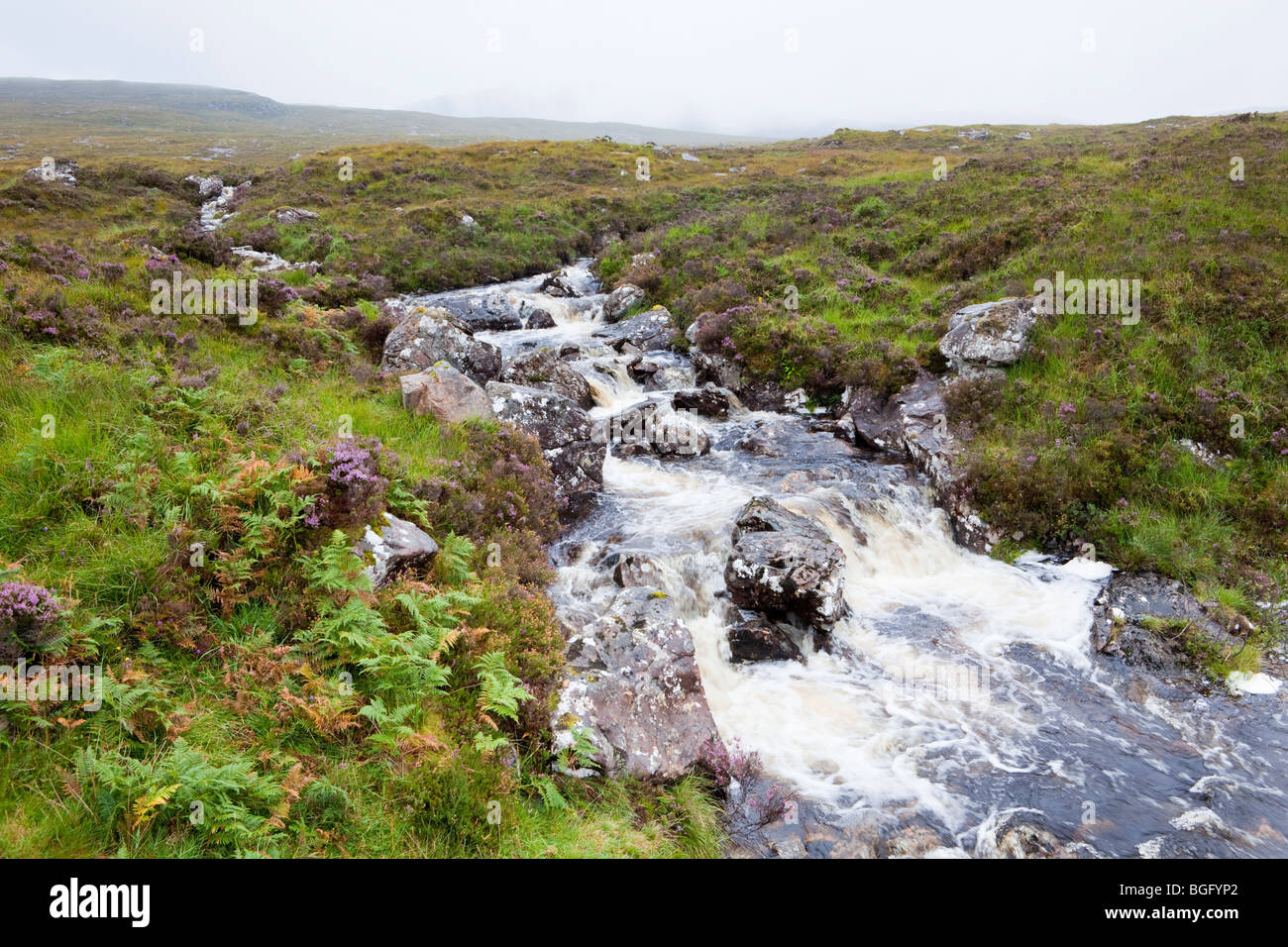 Un flusso di scozzese che fluisce fuori misty brughiera est di Applecross, Highland, Scozia Foto Stock