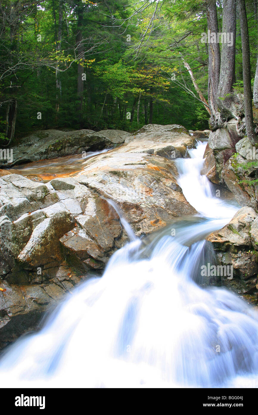 Acqua di bosco Rientrano in Nuova Inghilterra Foto Stock