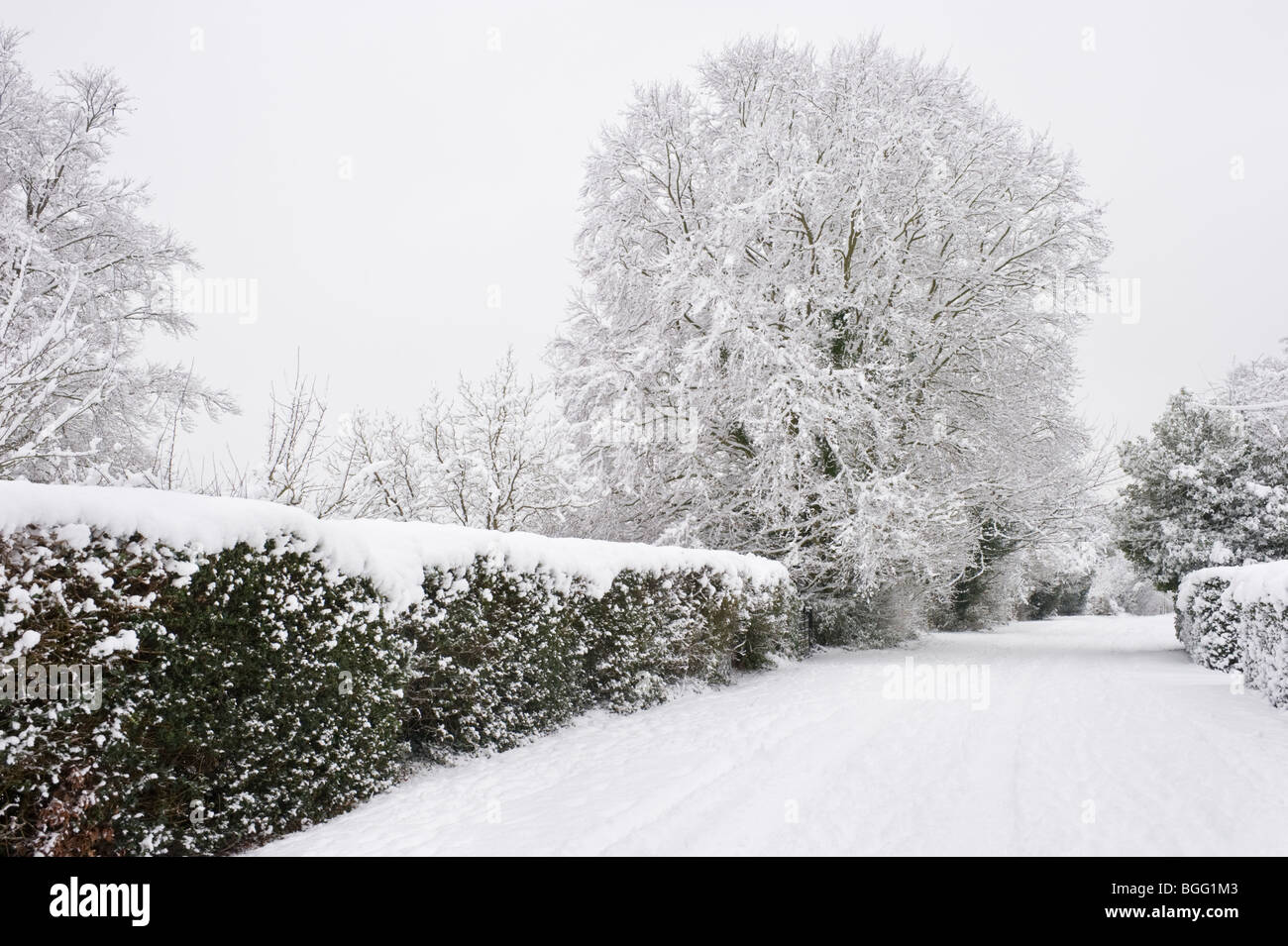 Neve invernale di strada coperta in Chilterns campagna Buckinghamshire REGNO UNITO Foto Stock