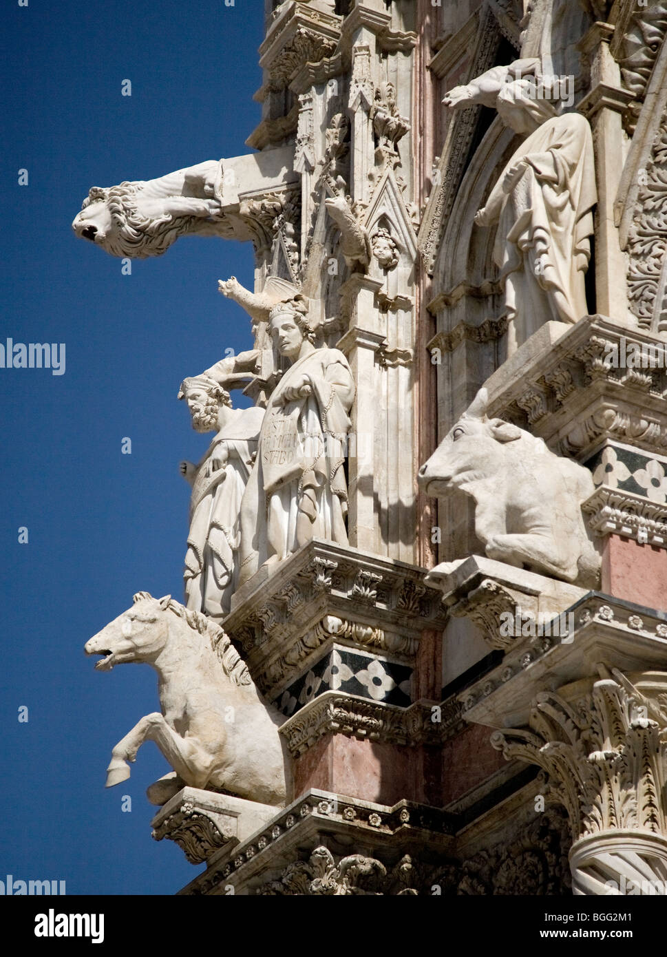 Fantastiche sculture naturalistiche affollano la facciata del Duomo di Siena Toscana Italia Foto Stock