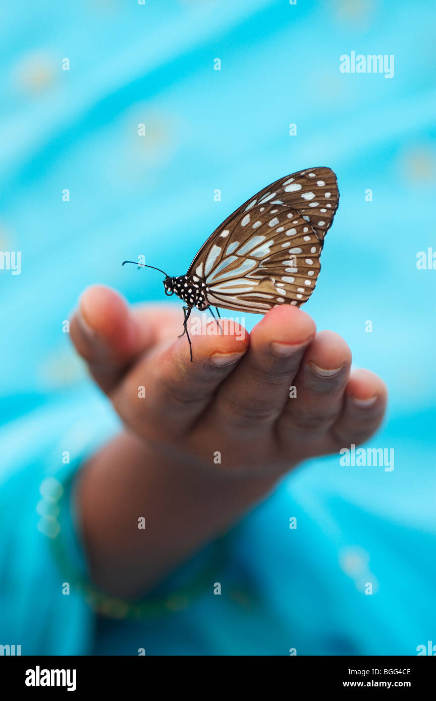 Tirumala limniace. Blue Tiger butterfly sulle mani di una ragazza indiana. India Foto Stock