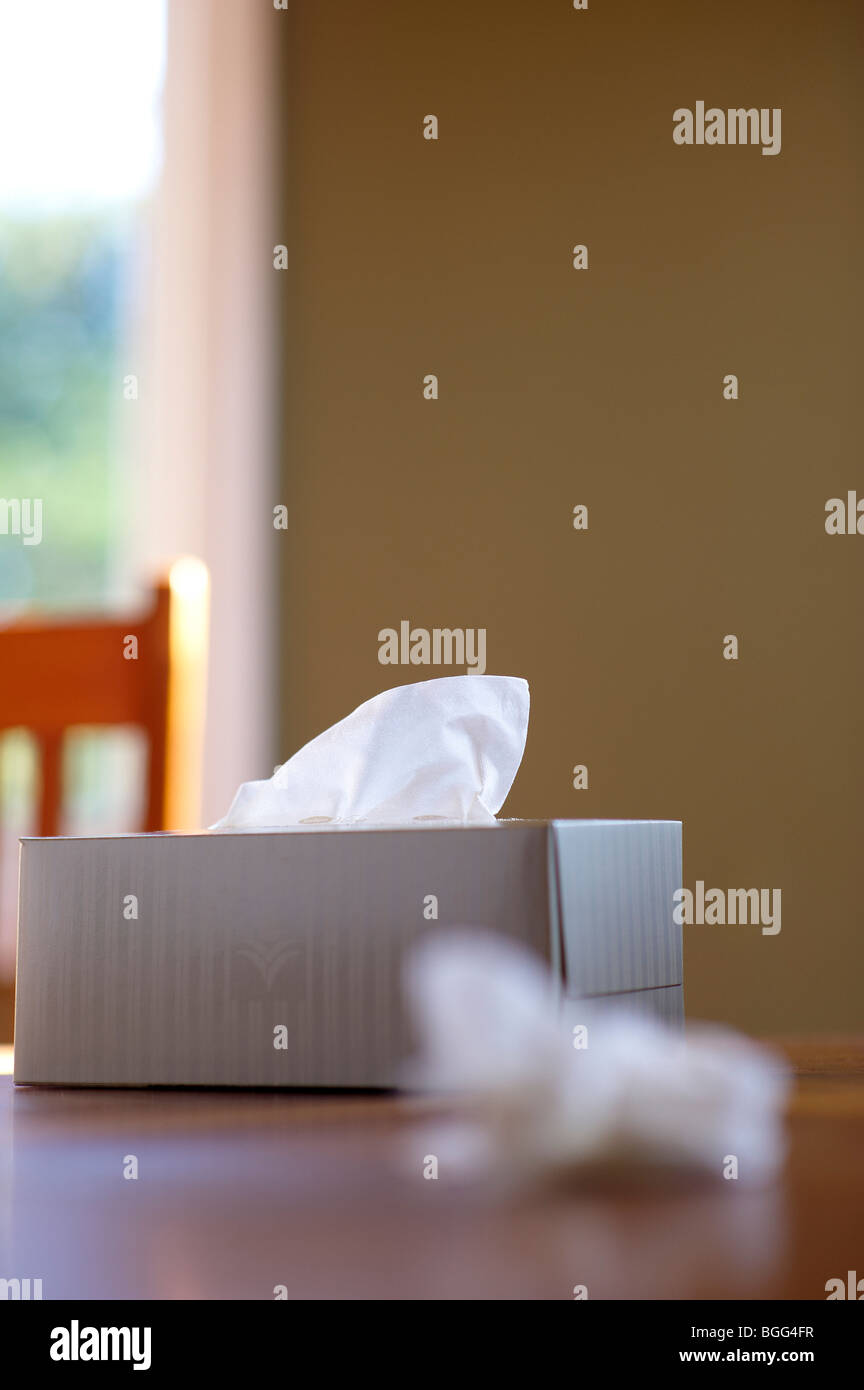 Scatola di fazzoletti Foto Stock