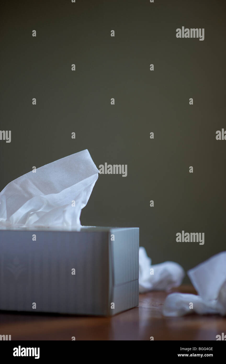 Scatola di fazzoletti Foto Stock