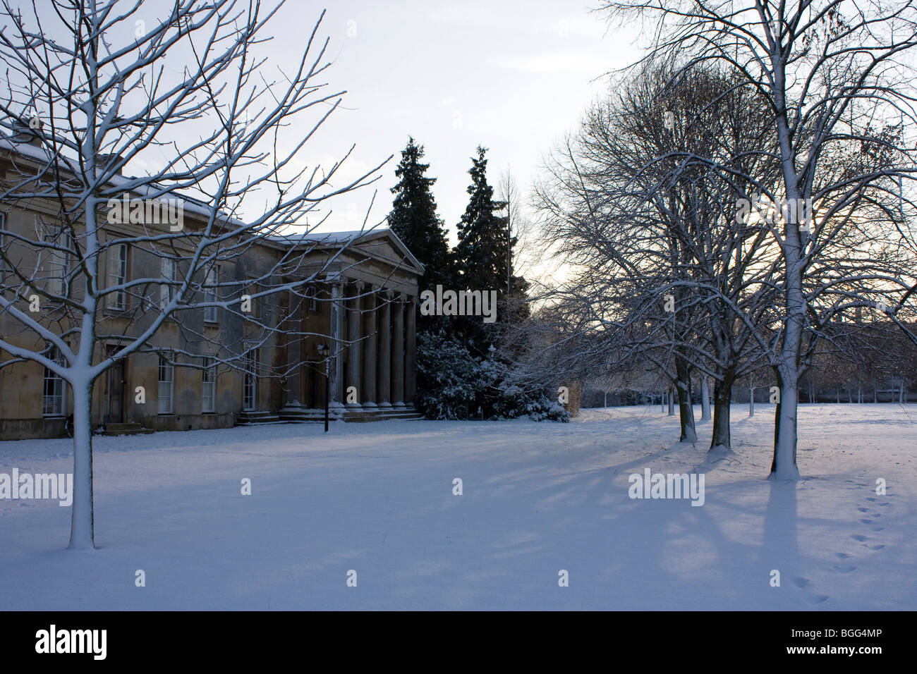 neve sulla terra Foto Stock