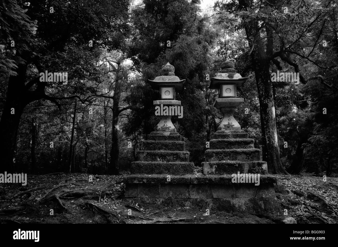 Giapponese lanterne di pietra. Di Kasuga Taisha (aka il Santuario Kasuga). Nara City. Prefettura di Nara. Giappone Foto Stock