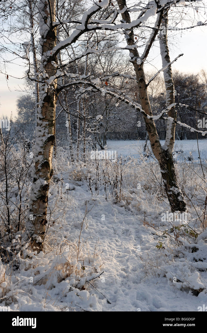 Neve invernale scena Chester Foto Stock