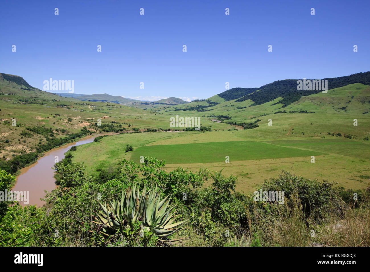 L' agricoltura comunitaria nella valle fertile nelle Midlands, Kwazulu Natal, Sud Africa. Colore. Foto Stock