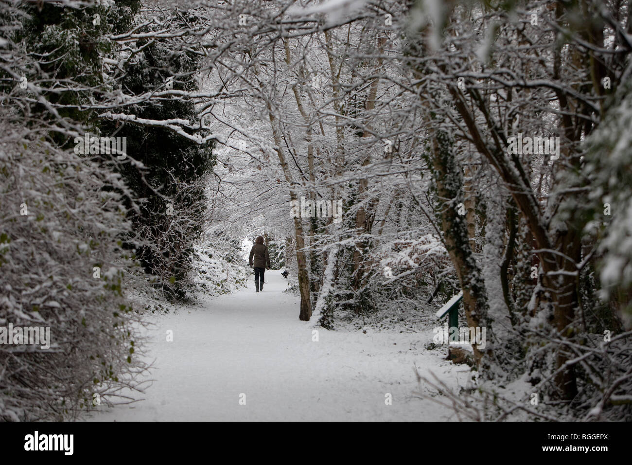 Londra, Inghilterra, 6 Gennaio 2010: neve pesante. Foto Stock