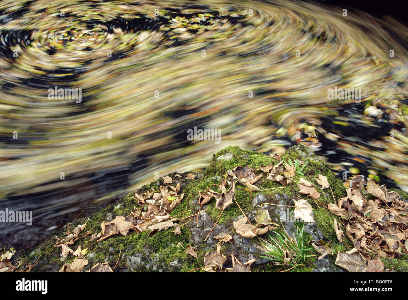 Le foglie autunnali girano nella corrente di un fiume, Scozia, Regno Unito Foto Stock