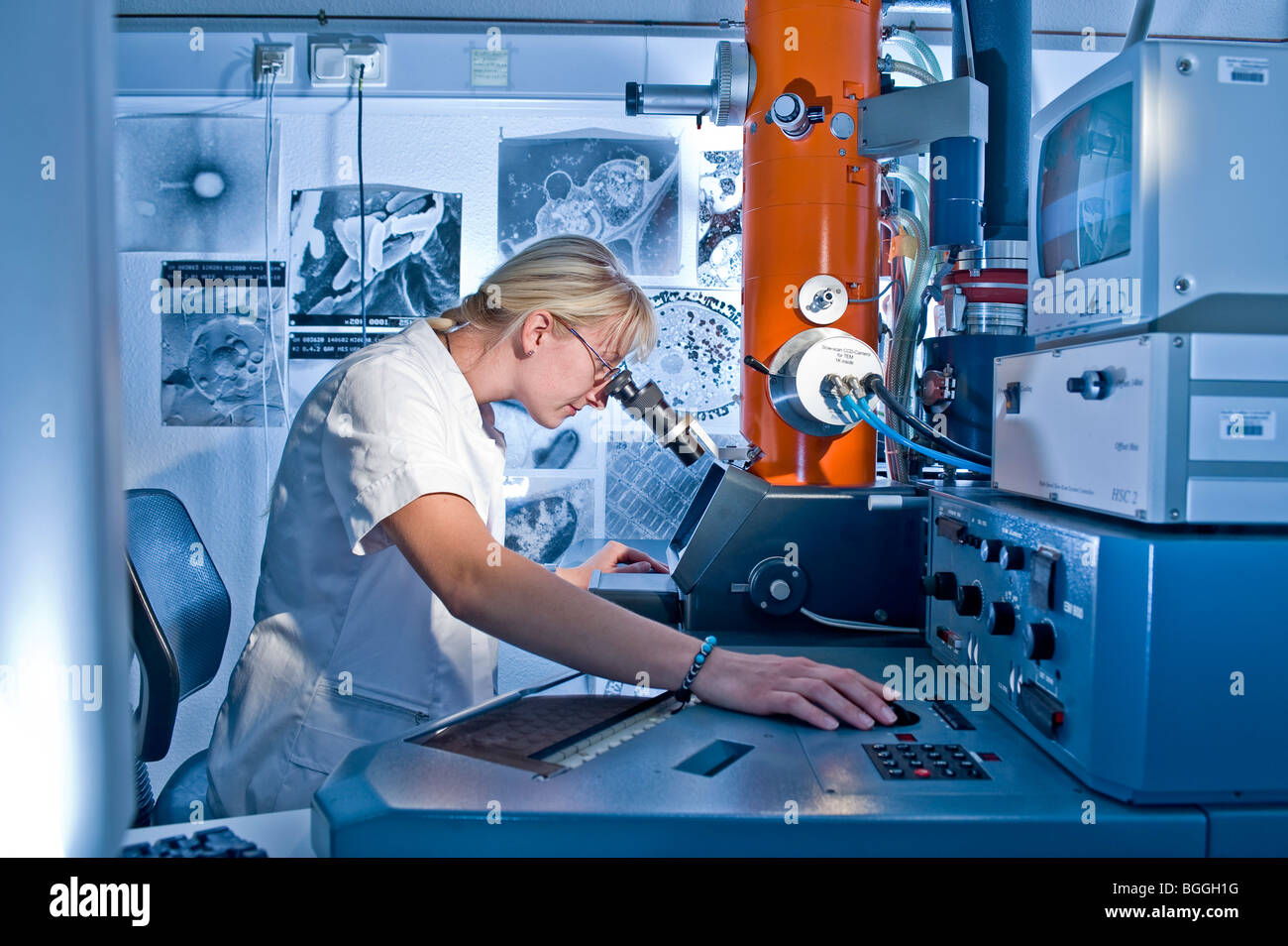 Tecnico di laboratorio lavorando su un microscopio elettronico Max-Planck ricerca;la fermentazione il ripiegamento di proteine; Halle Germania Europa Foto Stock Tecnico di laboratorio lavorando su un microscopio elettronico Max-Planck ricerca;la fermentazione il ripiegamento di proteine; Halle Germania Europa Foto Stock