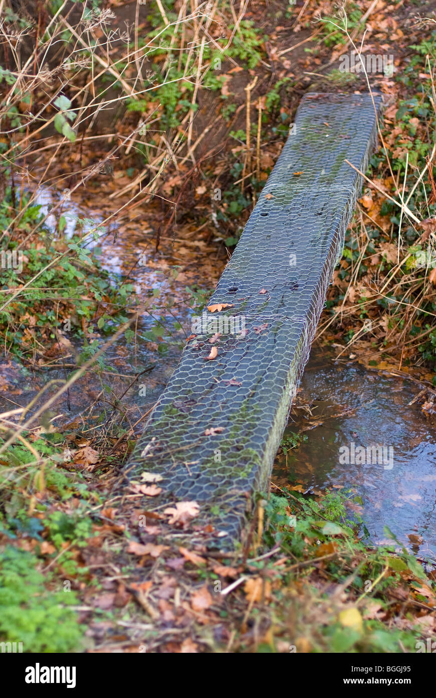 Percorso rurale attraversando ponte per il piccolo ruscello Foto Stock