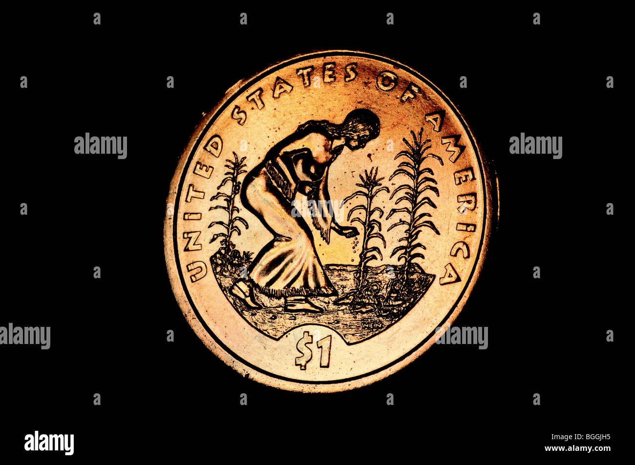 Il nuovo American $1 gettone Foto Stock