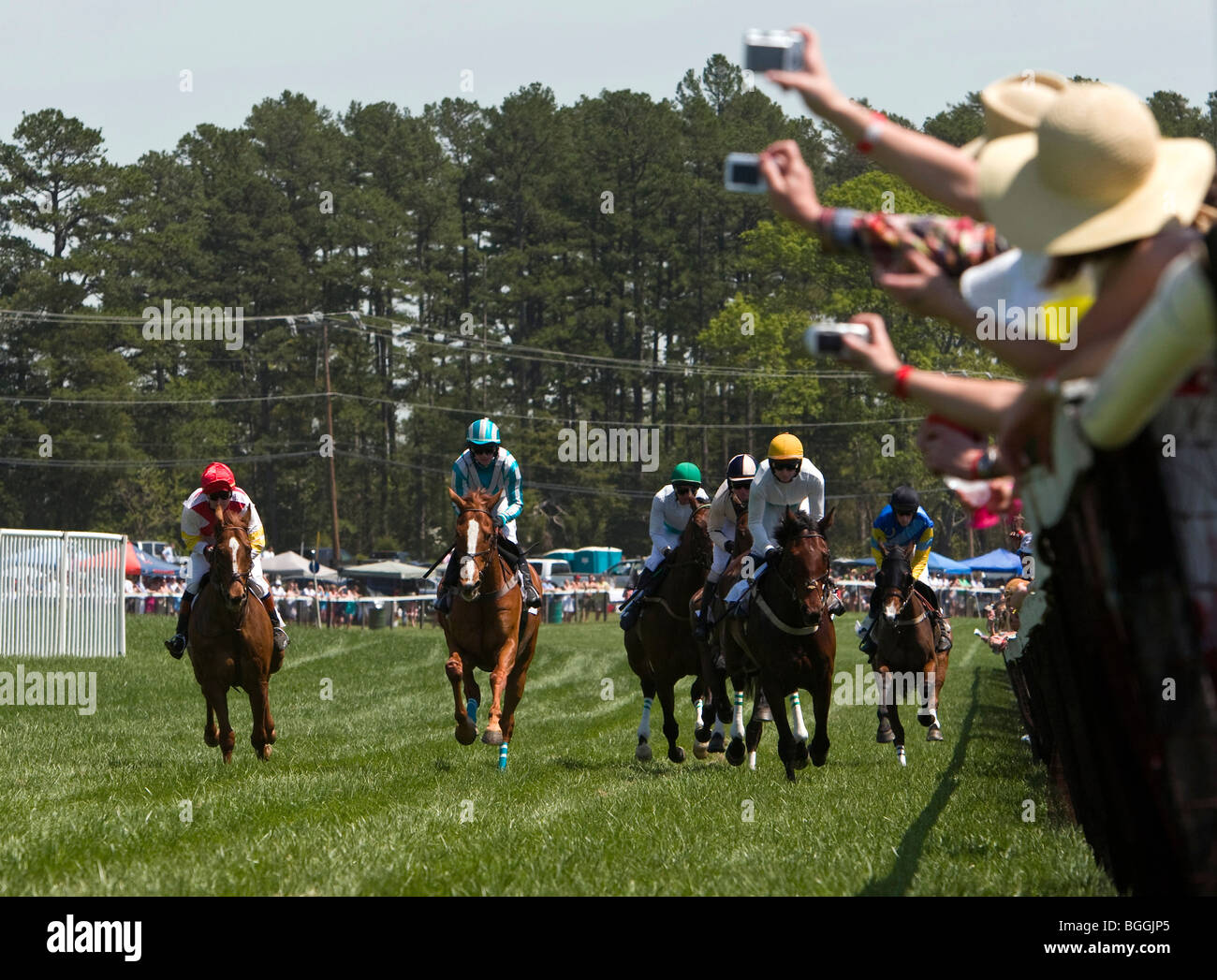 I fan di scattare foto lungo le rotaie durante il Foxfield Chase. Il 2009 Foxfield gare si sono svolte al Foxfield Race Course Foto Stock