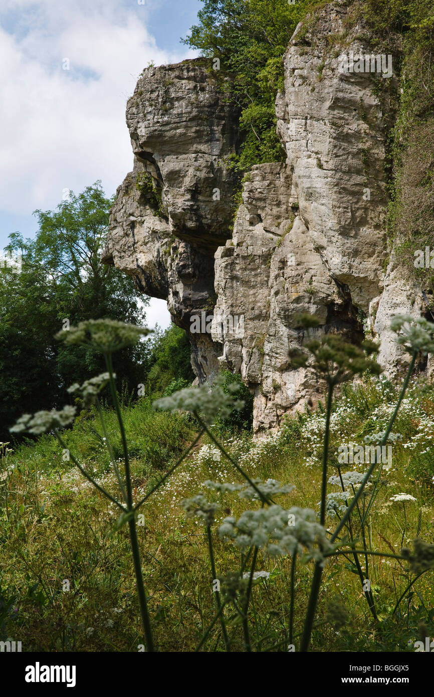 Il foro del perno di grotta e foro del cane grotta, Creswell Crags, Derbyshire/Nottinghamshire Foto Stock