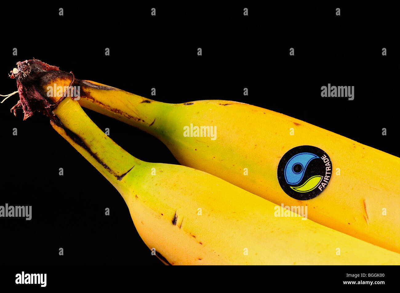 Le banane del commercio equo Foto Stock