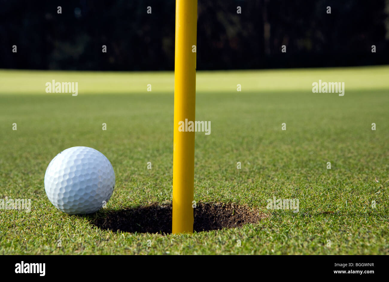 Foro di Golf - Jekyll Island, Georgia USA Foto Stock