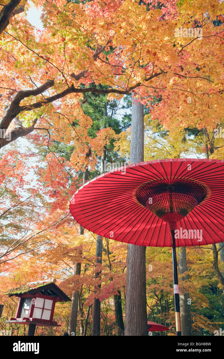 Red ombrello sotto gli alberi d'autunno. Ukyo-ku Kyoto in Giappone Foto Stock