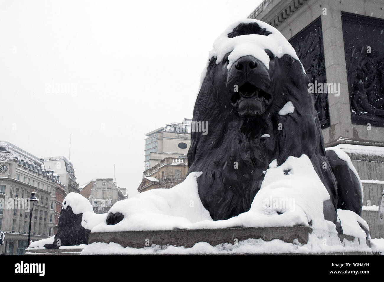 Lion ai piedi della Colonna di Nelson, a Trafalgar Square a Londra centrale coperto di neve Foto Stock