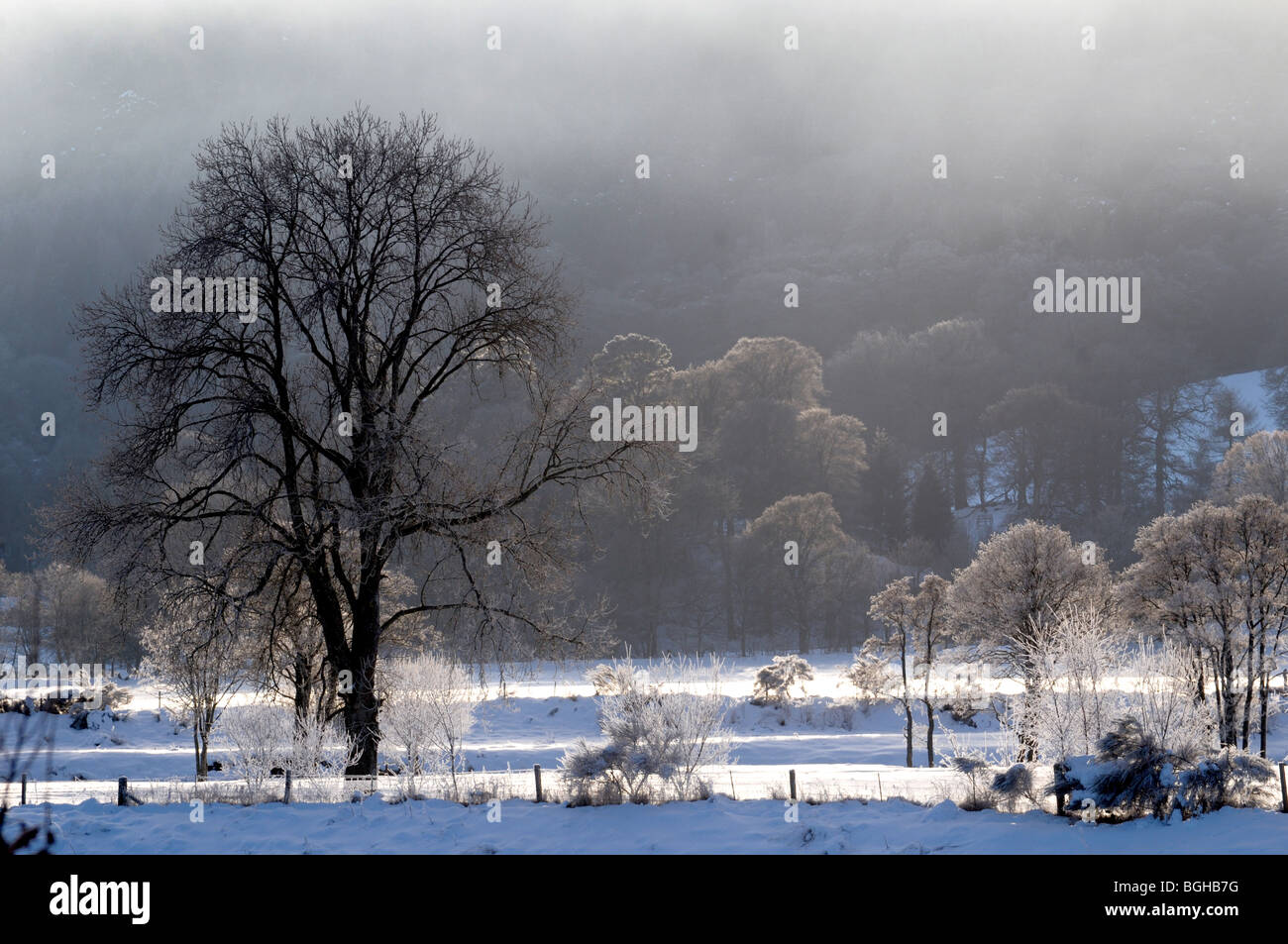 Un paesaggio innevato scena in Perthshire Scozia Scotland Foto Stock