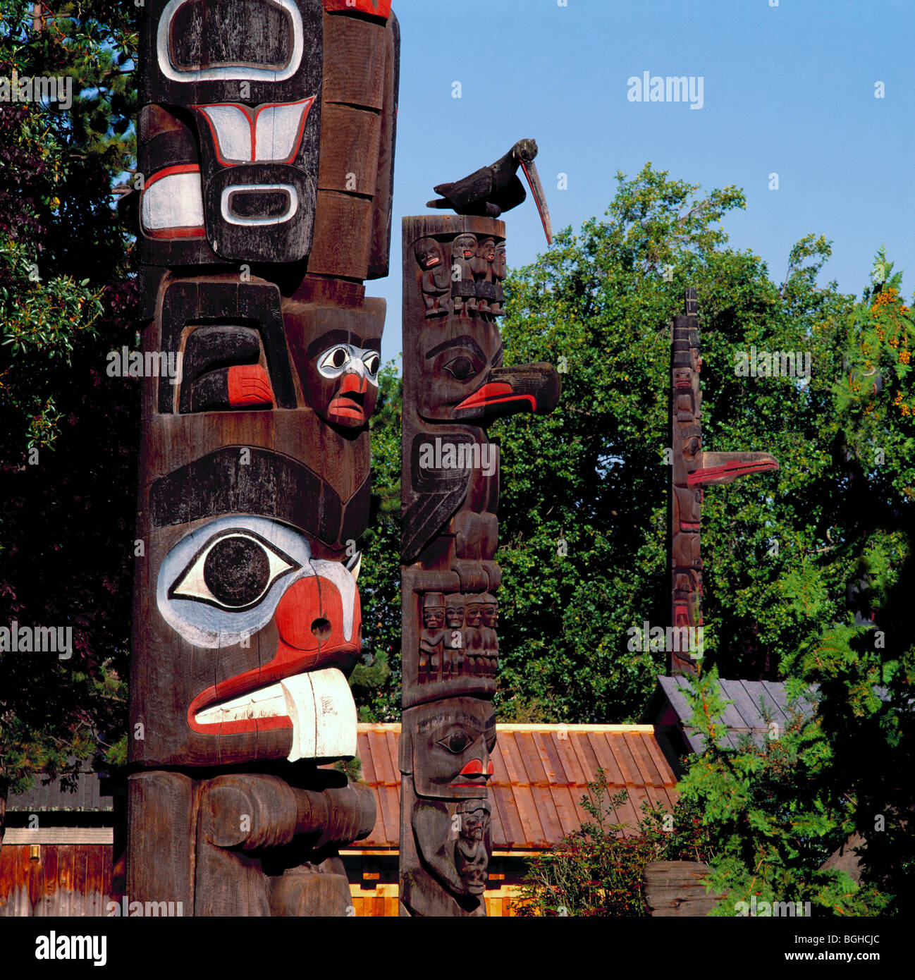 Haida e Gitxsan (Gitksan) Totem Poles in Thunderbird Park, Victoria, BC, Isola di Vancouver, British Columbia, Canada Foto Stock