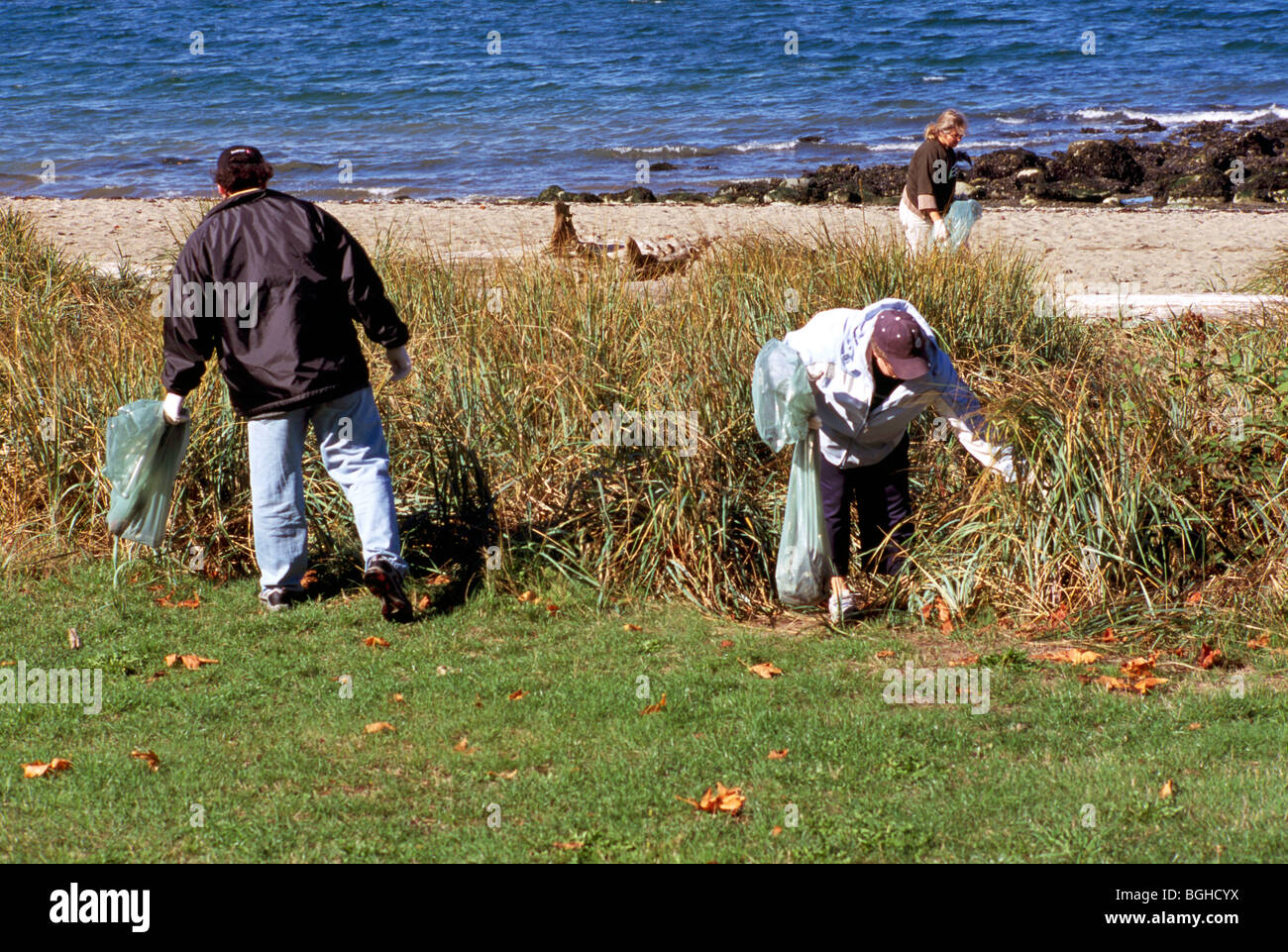 Spiaggia pulita fino / Cleanup, Kitsilano Beach, Vancouver, BC, British Columbia, Canada - Volontari il prelievo di lettiera / Garbage Foto Stock