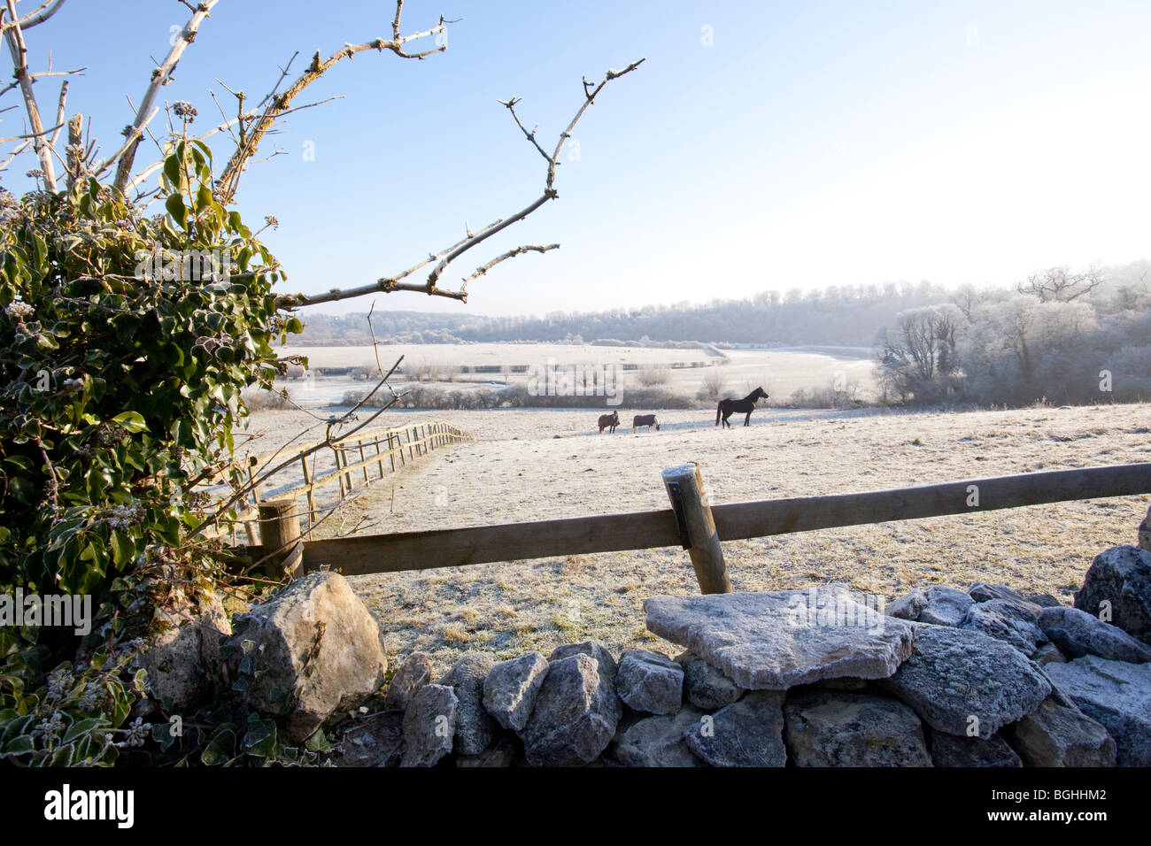 North Leigh, frosty mattina, Oxfordshire Foto Stock