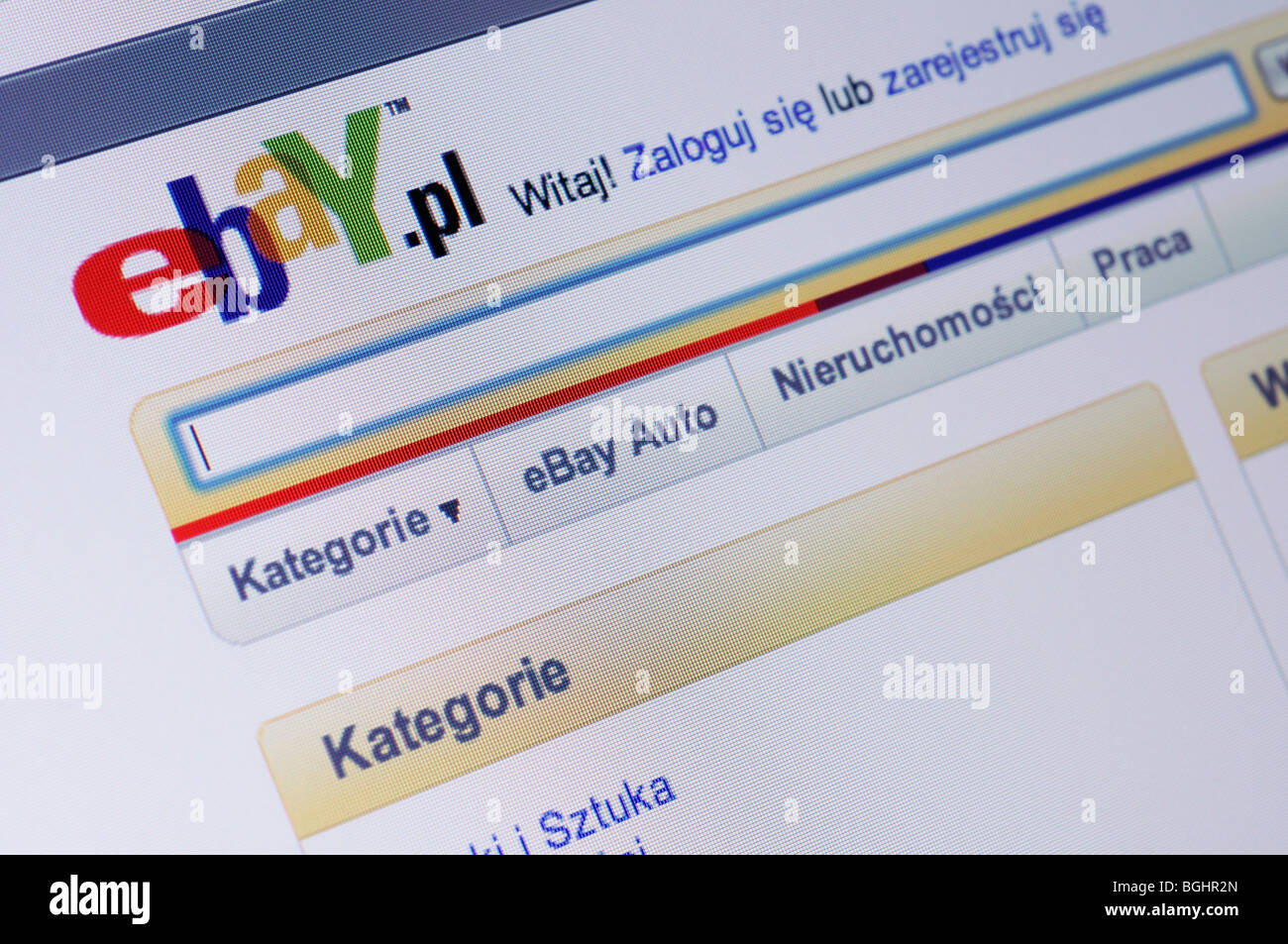 Sito web di Ebay - Polacco Foto Stock