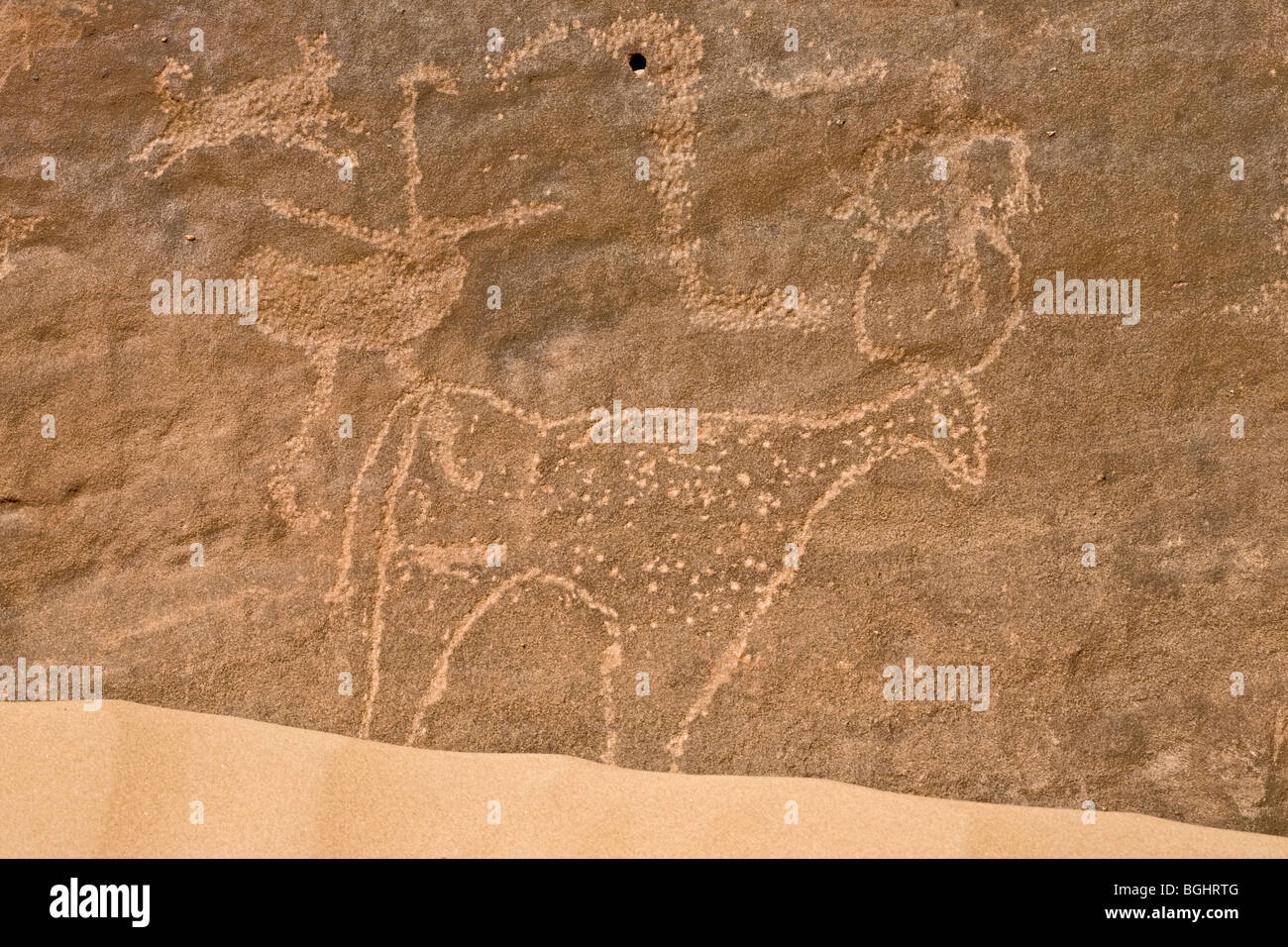 Close up di animali a Winklers famoso sito di arte rupestre 26 Wadi Abu Wasil nel Deserto Orientale dell'Egitto Foto Stock