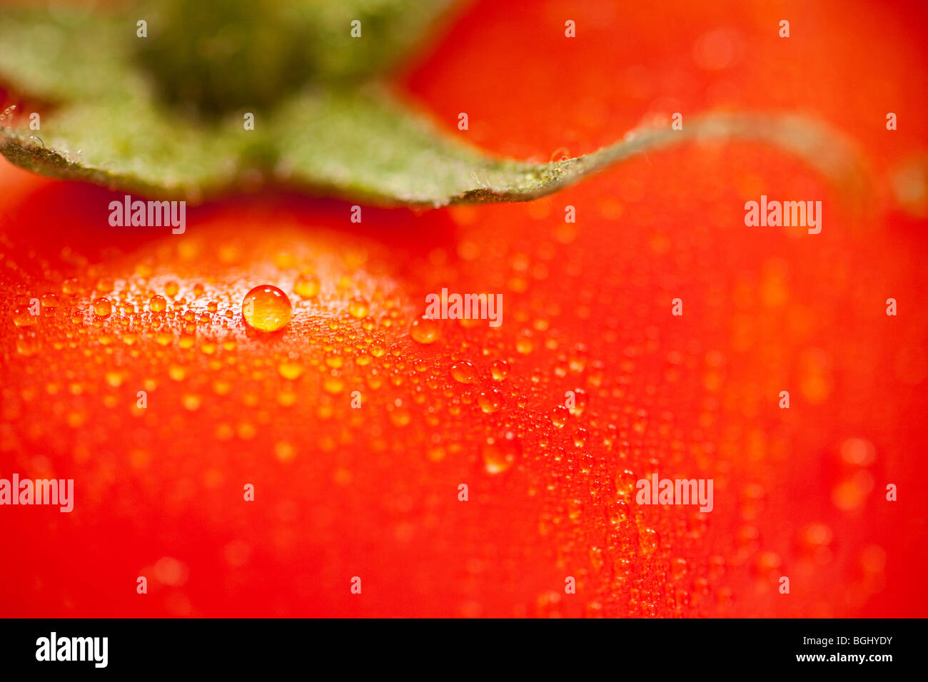 Pomodoro rosso con goccioline di acqua sfondo macro Foto Stock