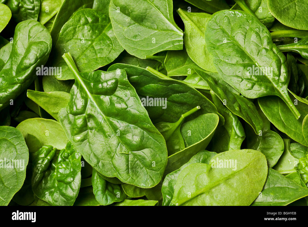 Fresche foglie di spinaci o insalata di spinaci sfondo Foto Stock