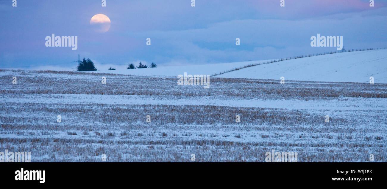 Blue Moon su campi di stoppie Foto Stock