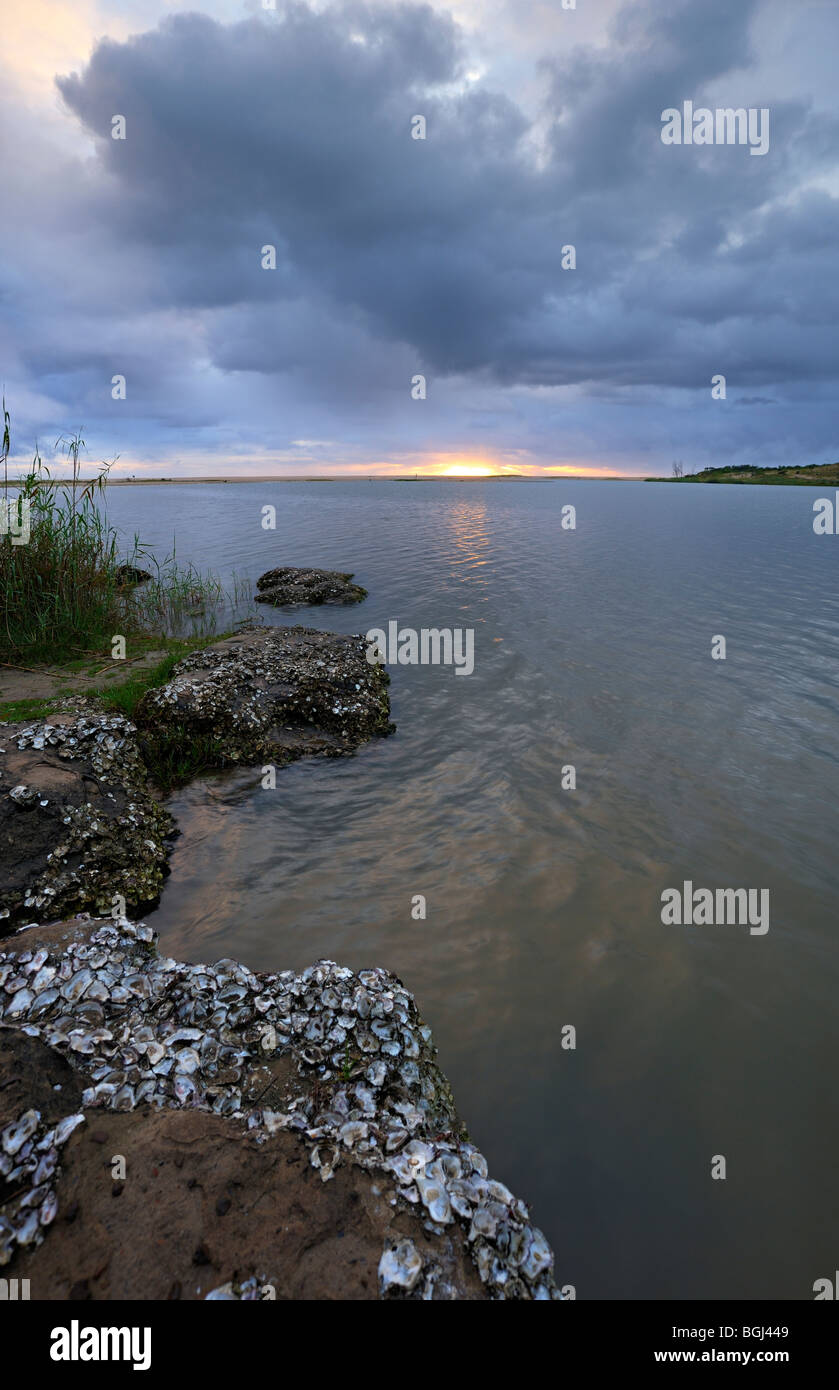 Ampio angolo di visione di nuvole a sunrise con cozze in primo piano in corrispondenza di una bocca di estuario, St Lucia, Kwazulu Natal, Sud Africa Foto Stock